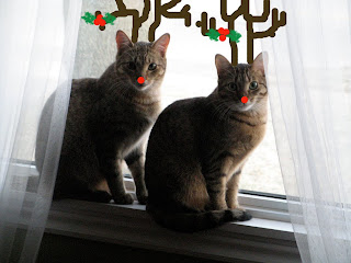 Holiday 2009 Fergie and Penny