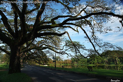 Taiping-Lake-Garden-5