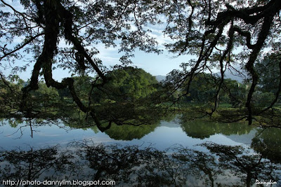 Taiping-Lake-Garden-9