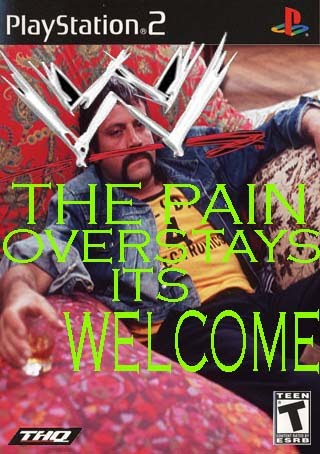[WWE_PAIN3.jpg]