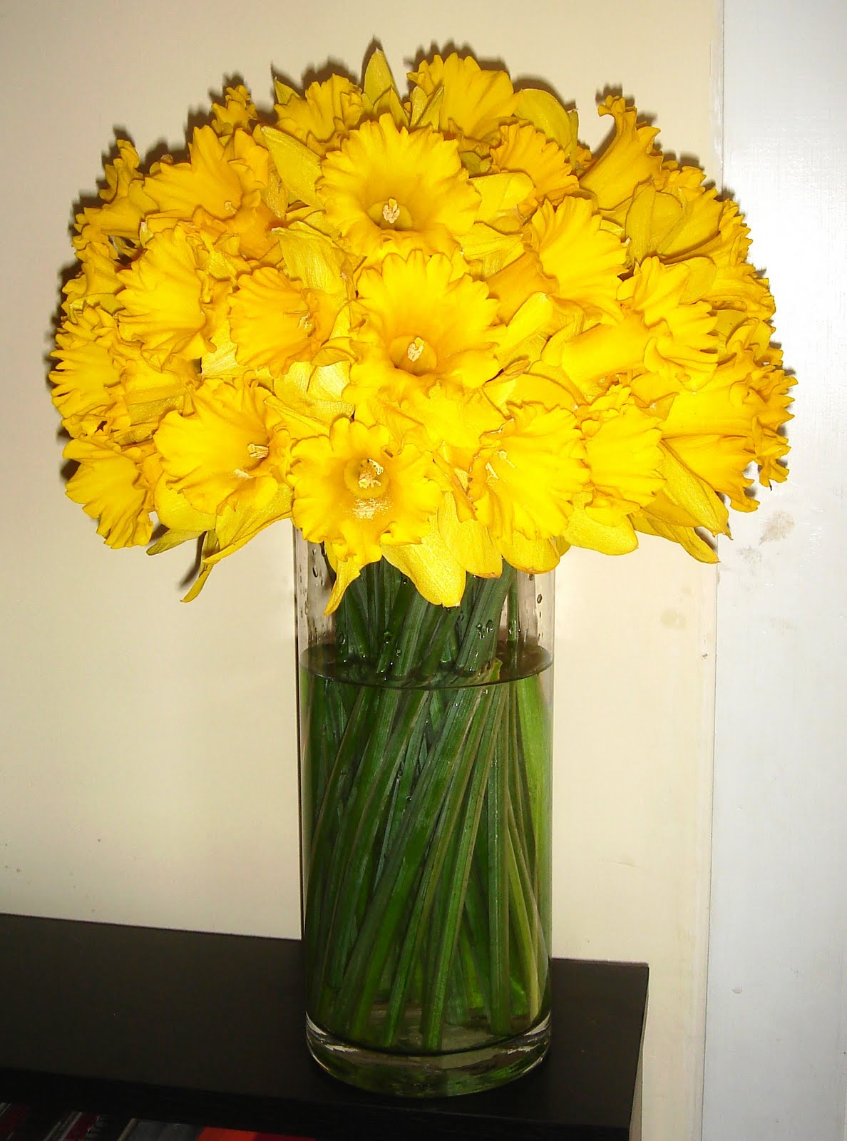 Billy Stewart Daffodil Arrangement