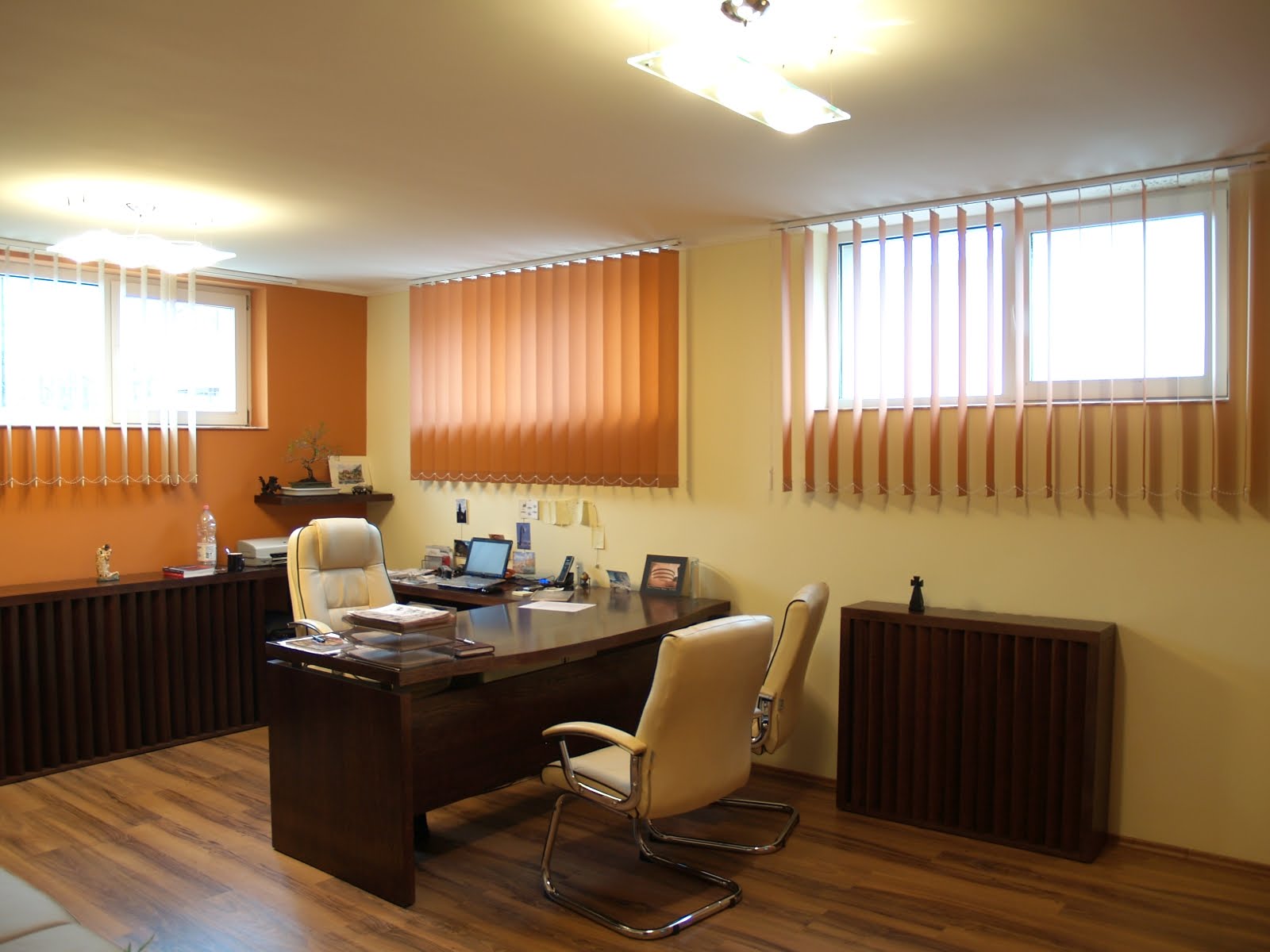 [Design+interior+birou.JPG]
