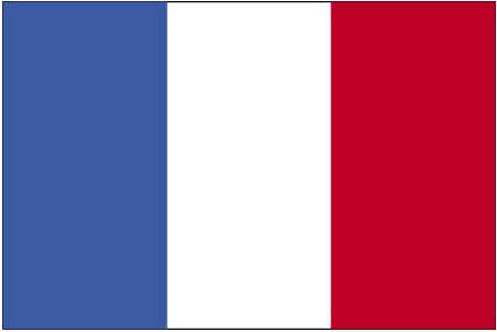 [french+flag.gif]