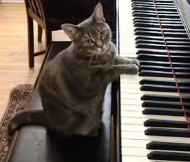 [piano+cat.jpeg]