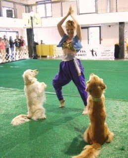 Canine Freestyle Dancing