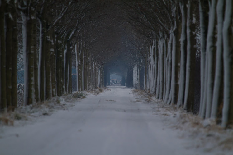 Landweg in de sneeuw