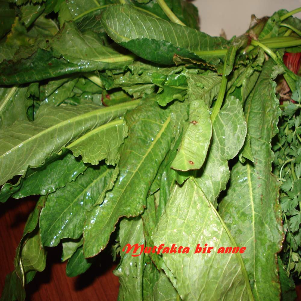 Labada Sarması Tarifi Labada Sarması Tarifi