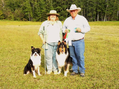 asca and ckc sheep herding trials   new title for shaman and debut of ted