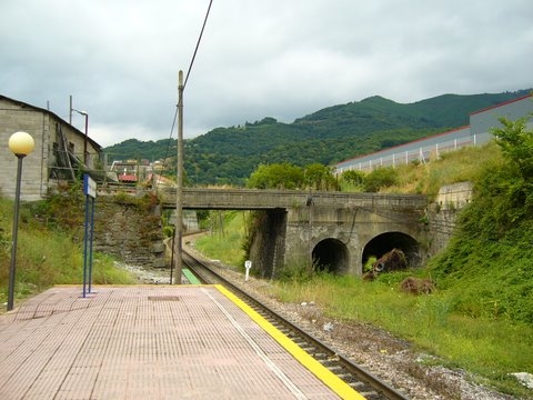 FLOR DE OLIVO Apeadero de Caborana Aller