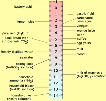 the effects of acids bases on different indicators and the ph of common cleaning agents Start studying revision for acids and bases acids have a ph of less than 7 bases have a ph of more list 4 common types of acid/base indicators used to. the effects of acids bases on different indicators and the ph of common cleaning agents Start studying revision for acids and bases acids have a ph of less than 7 bases have a ph of more list 4 common types of acid/base indicators used to.