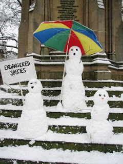 funny snowman photo protest with endangered species sign may become extinct due to climate change