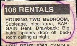 crazy funny picture ad for rental bedroom that has spiders