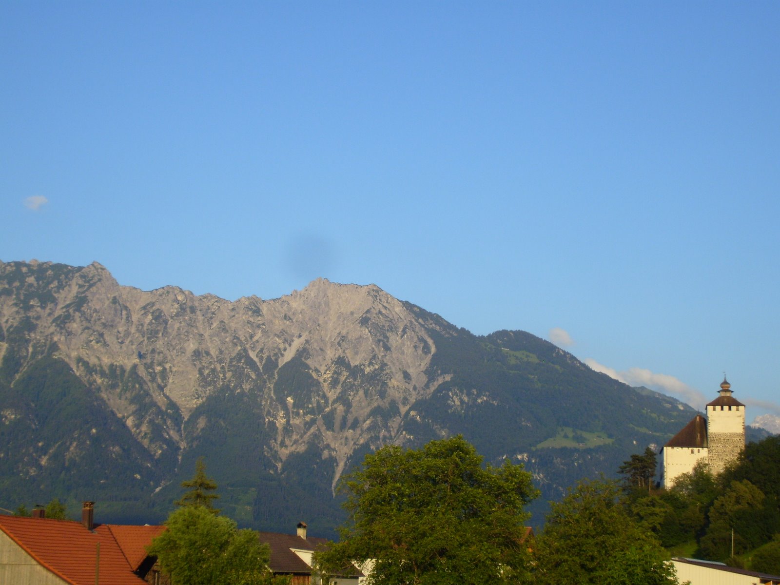 [S7001274.JPG]