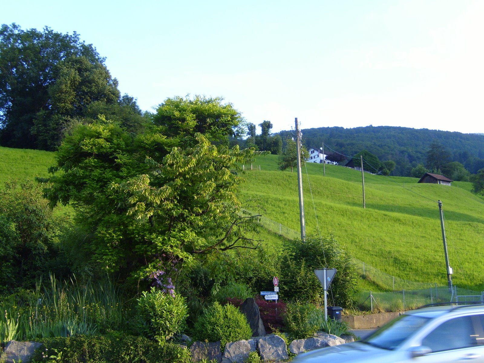 [S7001247.JPG]
