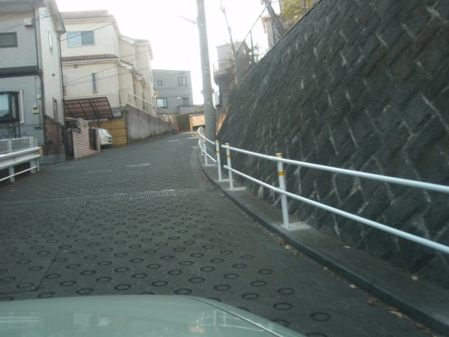 [P1100002.JPG]