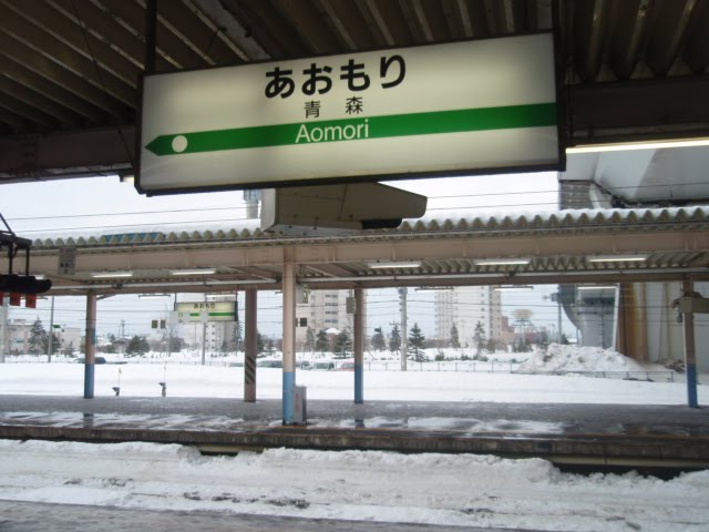 [012.JPG]