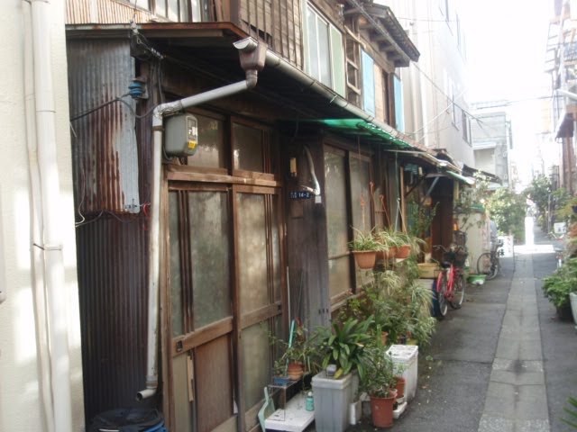 [P3210492.JPG]