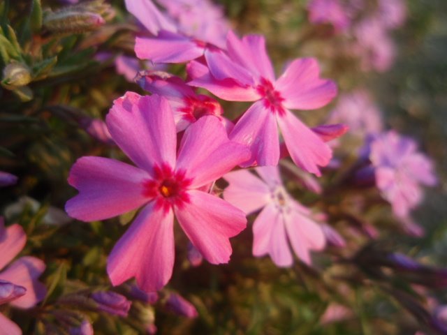 [P4100047.JPG]