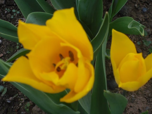 [P4110084.JPG]