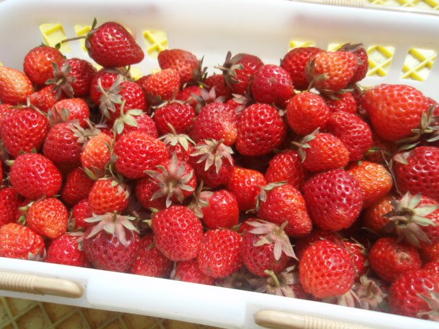 [P5230210.JPG]