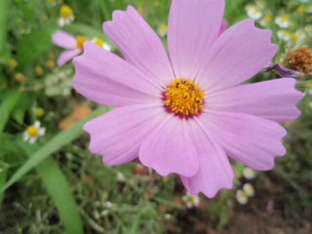 [P6200344.JPG]