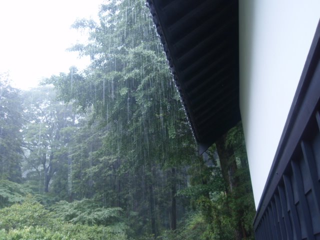 [P6210370.JPG]