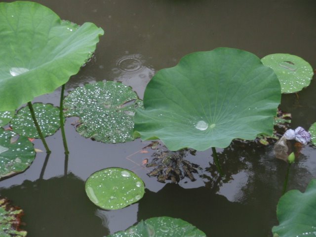 [P6210380.JPG]