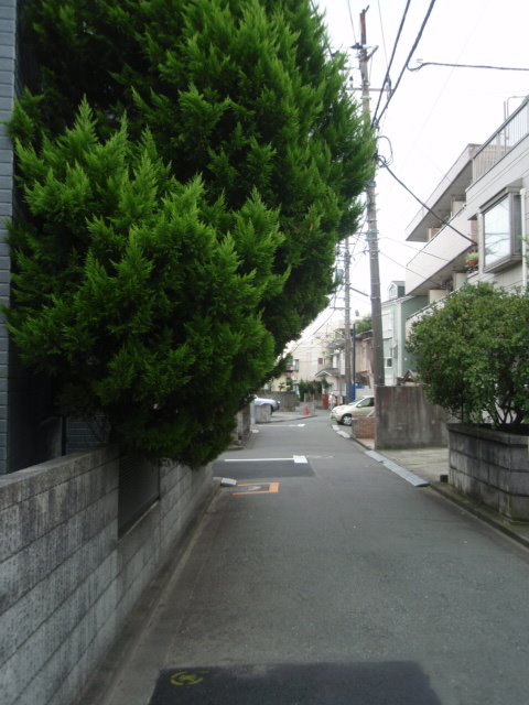[P8040570.JPG]