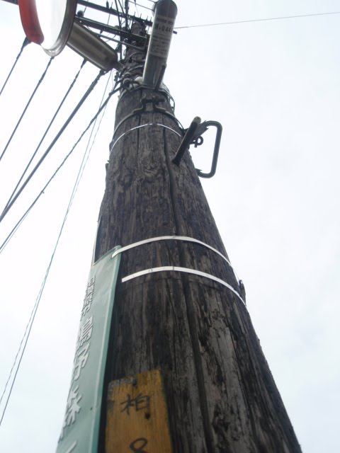 [P9190095.JPG]