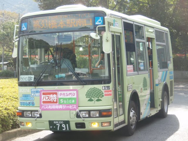 [PA200128.JPG]