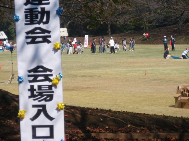 [PA180125.JPG]