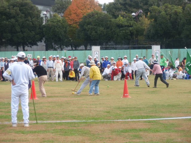 [PA220141.JPG]