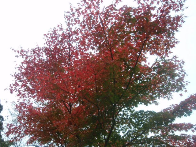 [PB050203.JPG]