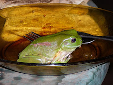 Who's coming for Dinner