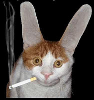 gato que fuma gato mischuminadas