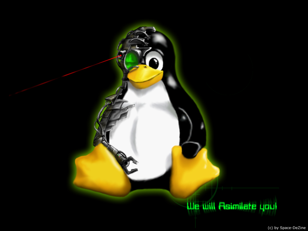 http://4.bp.blogspot.com/_xxqfsFvKn1k/TTdv2be7q9I/AAAAAAAAAVw/s_DLmLLRwiU/s1600/2382-tux-borg.png
