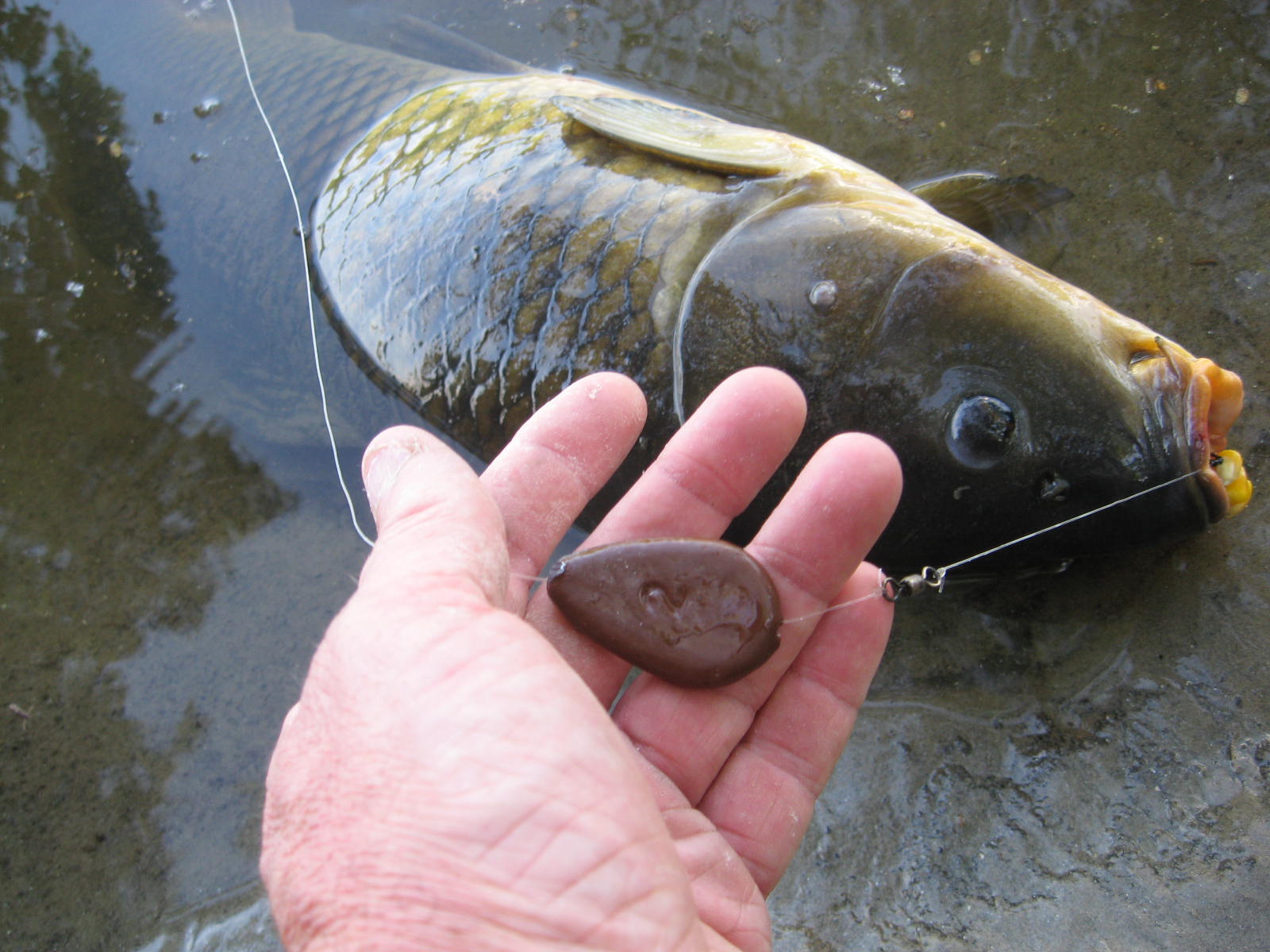 Rhode Island Carp Fishing: Making your own Sinkers