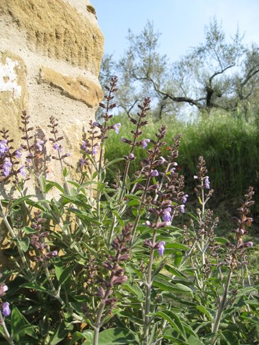 [Simplest+things.jpg]