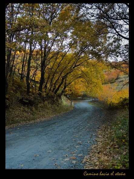 [camino+hacia+el+otoño-1-.jpg]