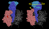Molecular machine, ATP synthase motor