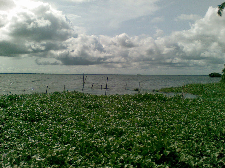 Vembanad Lake