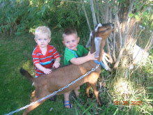 THE BOYS WITH AUNT CARLEIGHS GOATS.