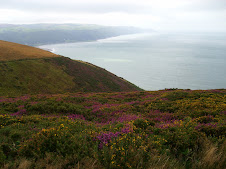 The abundant heather