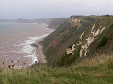 On top of Coxes Cliff