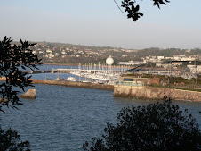 Torquay Harbour and "Living Coasts"