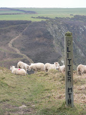 Litter Mouth near Marshland Cliff