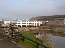 Bude - lock, stock and crabpot!