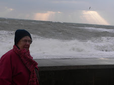Sunday February 1st - Mother freezes at Torcross front