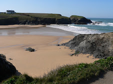 Trevarnon Bay