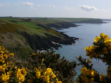 From the cliffs above Wadham Beach East